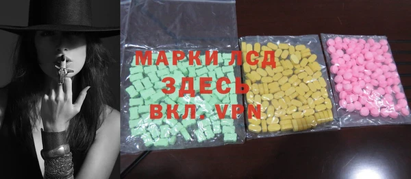 винт Ельня
