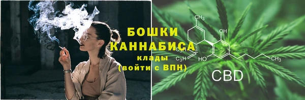 гидра Дмитриев