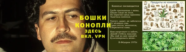 гидра Дмитриев
