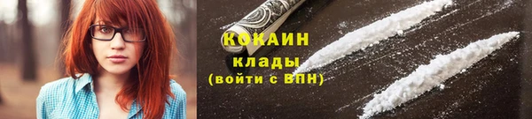винт Ельня
