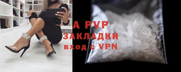 винт Ельня