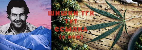 мяу мяу мука Елабуга