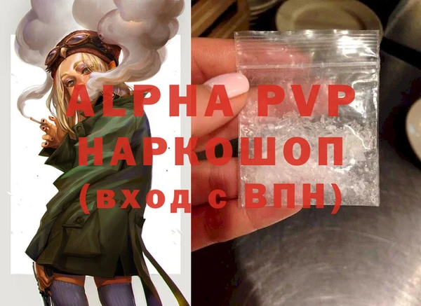 винт Ельня