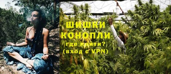 винт Ельня