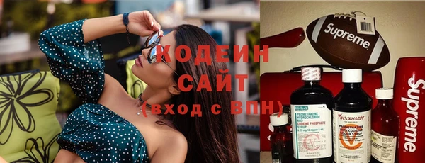 винт Ельня