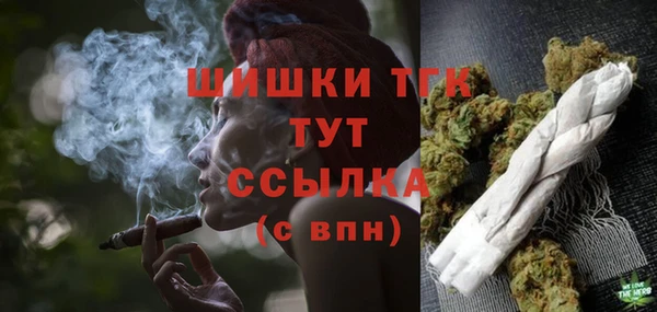 шишки Дмитровск