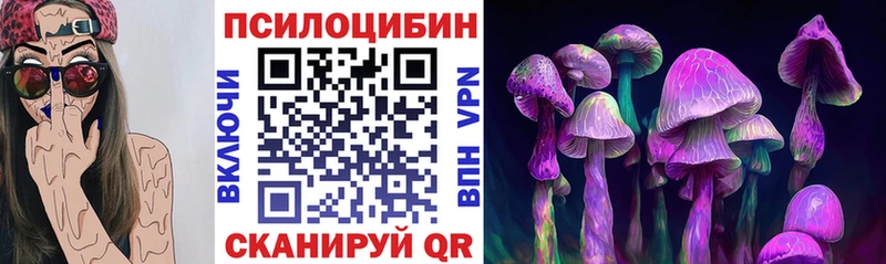 как найти закладки  даркнет Telegram  Галлюциногенные грибы Psilocybe  Рошаль 